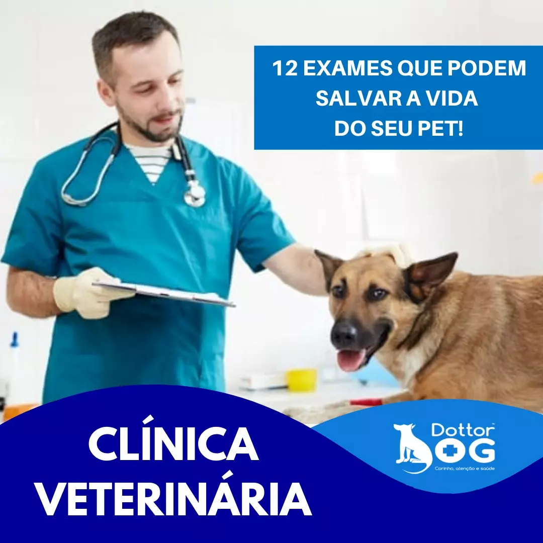 PRINCIPAIS EXAMES PARA RESOLUÇÃO DE PROBLEMAS QUE AFETAM A SAÚDE DE NOSSOS PETS